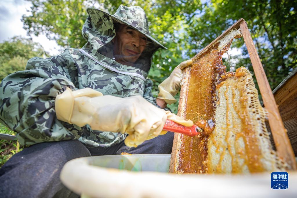 大奖网官网下载